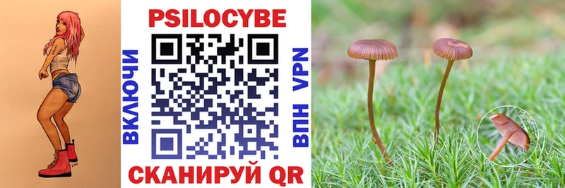 Галлюциногенные грибы прущие грибы  сколько стоит  Нижний Новгород 